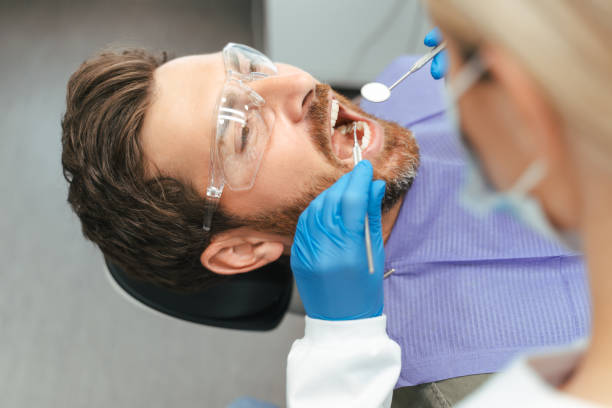 Best Dental Bonding  in Holly, MI